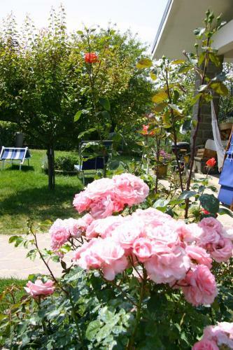 Agroturismo B&B Serra Pineta