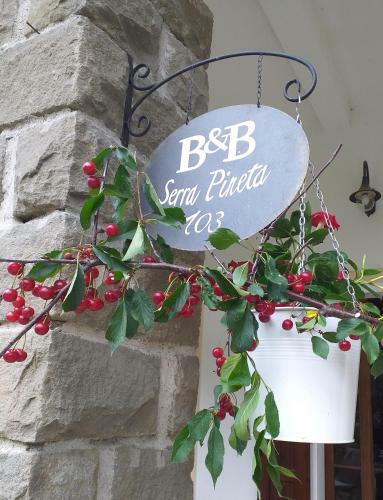 Agroturismo B&B Serra Pineta