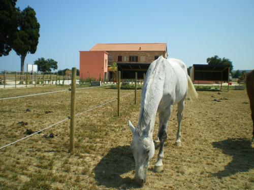 Agroturismo Conero Ranch