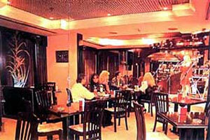 Hotel Vendome Plaza