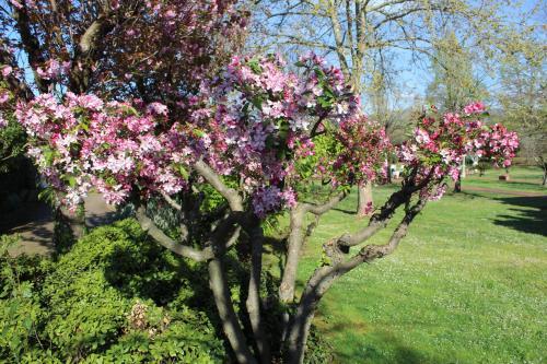 B&B Villa Sbaraglia