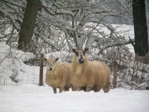 Agroturismo Pwllgwilym B & B