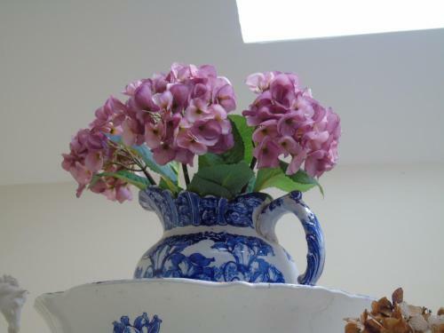 Agroturismo Pwllgwilym B & B