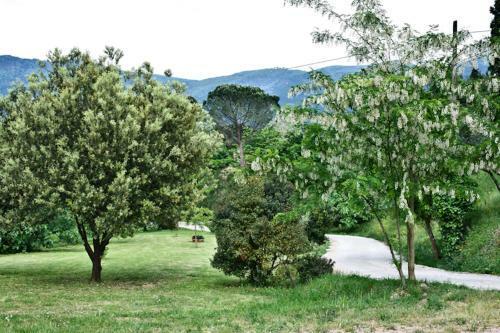 Agroturismo Il Molendino Pisa B&B