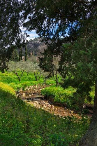 Agroturismo Il Molendino Pisa B&B