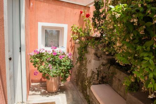 Agroturismo Giu Al Mulino B&B