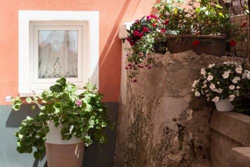 Agroturismo Giu Al Mulino B&B