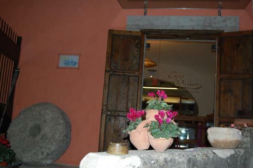 Agroturismo Giu Al Mulino B&B