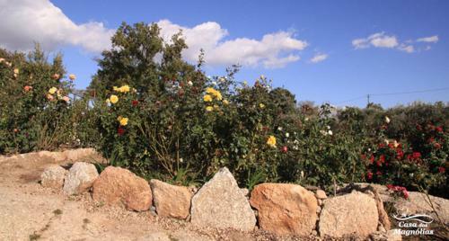 Agroturismo Casa Das Magnolias