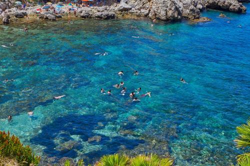 Hostal Rustico Zingaro