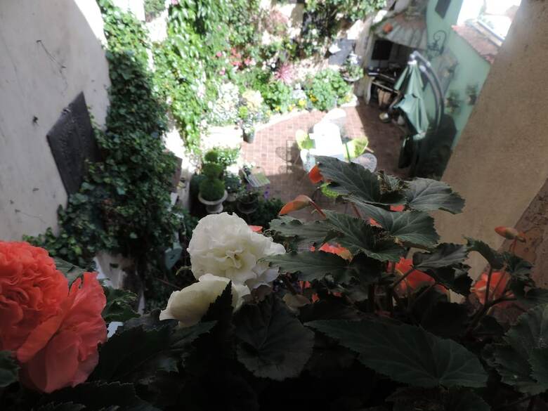 Agroturismo Le Jardin Des Fables