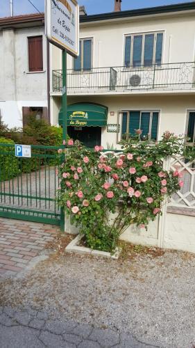 Zanea B&B