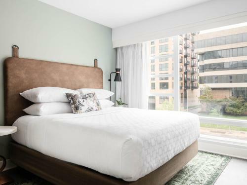 Hotel Holiday Inn Express St.louis Central West End
