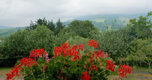 Agroturismo Olaskoaga Goikoa