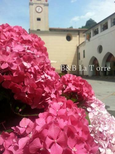 Bed & Breakfast La Torre