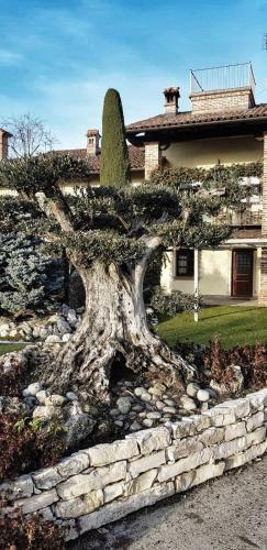 Agroturismo Heremo Delle Ripe