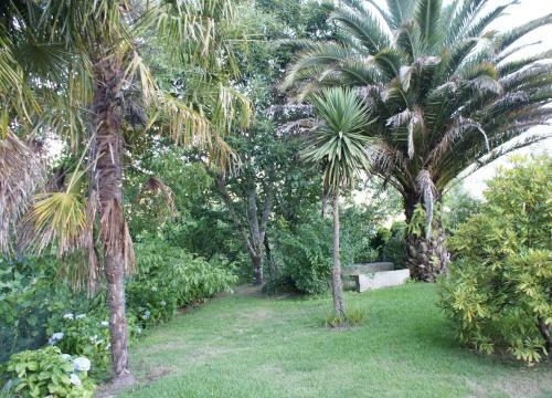 Agroturismo Quinta De Canh�es