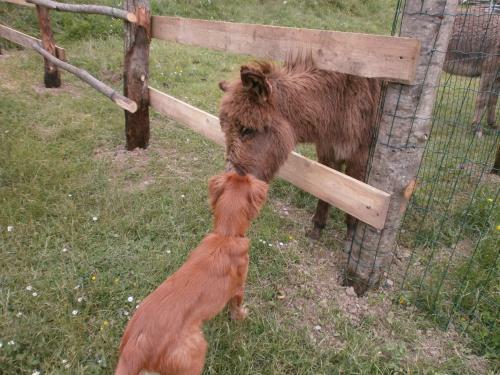 Bed & Breakfast I Poggi Di Grace