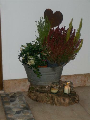 Bed & Breakfast Fra Rose E Mughi