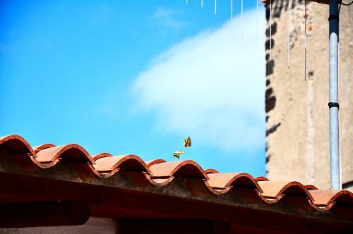 B&B Casacor�