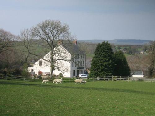 Agroturismo East Hook Farmhouse