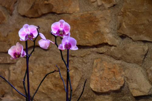 Agroturismo Complejo Rural Turimaestrat