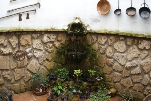 Agroturismo La Casa De La Abuela