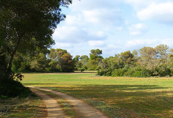 Agroturismo Ses Arenes
