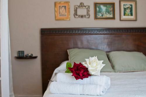 Agroturismo Casa Almod�var