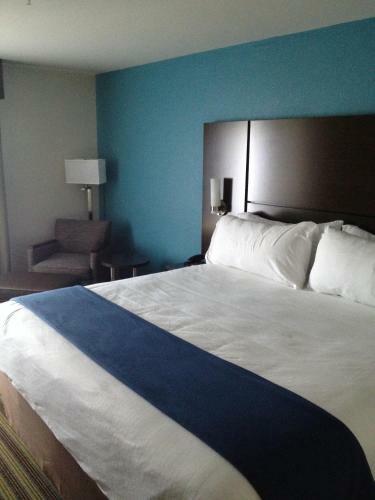 Hotel Holiday Inn Express Montgomery East I-85