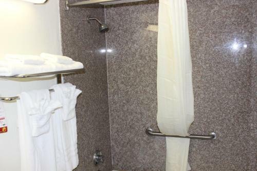 Hotel Super 8 Tuscaloosa