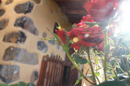 Casa Rural Las Rosas