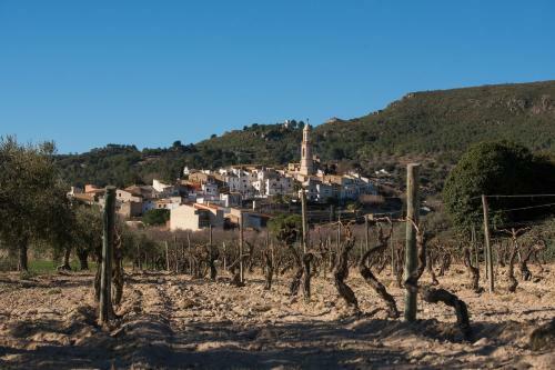 Agroturismo La Olivera