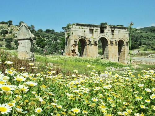 Hostal Zeybek 1 Pension