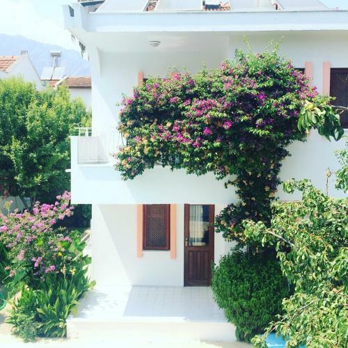 Hotel Flower Villa Apart