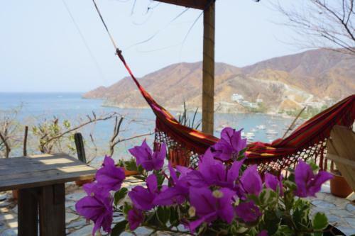 Hotel Cactus Taganga