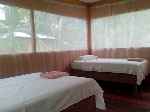 Jungle Explorer Lodge