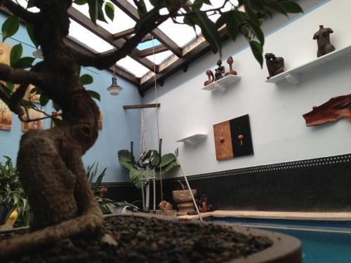 Agroturismo Casa Rural Arte Y Descanso