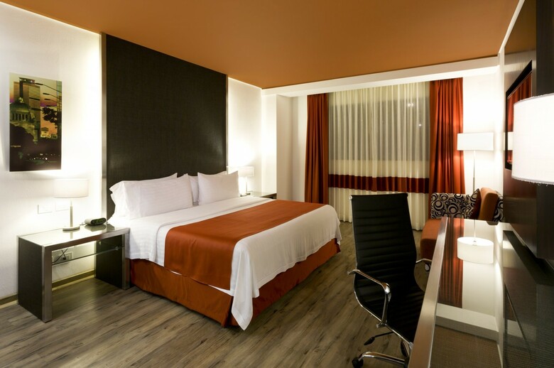 Hotel Holiday Inn Buenavista