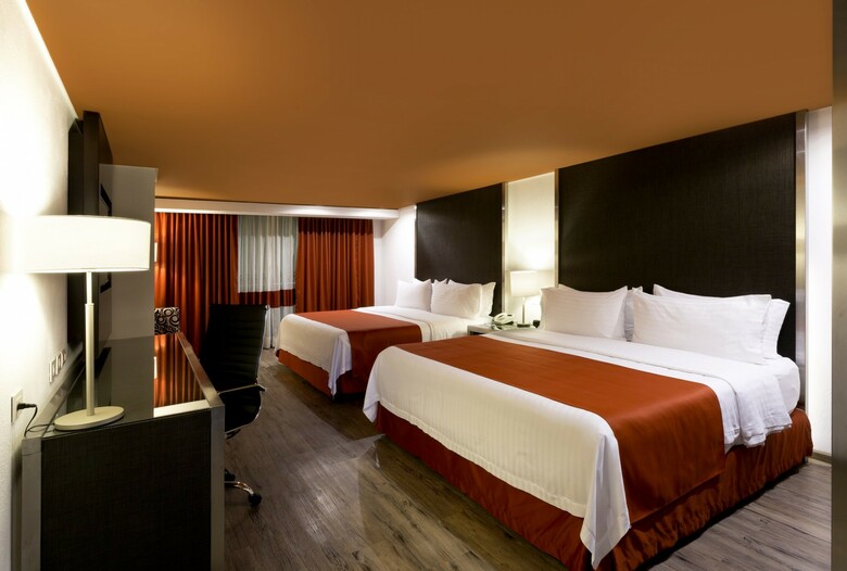 Hotel Holiday Inn Buenavista