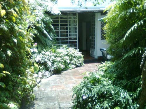 Bed & Breakfast Hospedaje El Zagu�n
