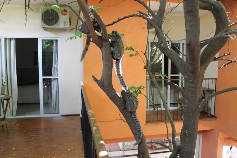 Hostal Pousada Charme Fonte Do Boi
