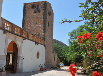 Hotel Son Esteve