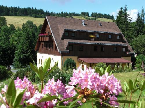 Hostal Pension Hela