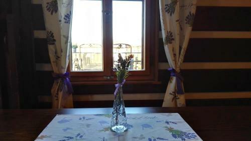 Hostal Pension Alex