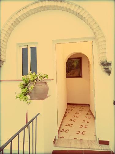 Hotel Rinc�n De Las Nieves