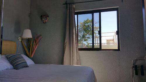 Bed & Breakfast Posada Colibri