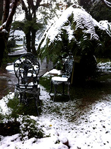 Hostal Pousada Recanto Da Lua