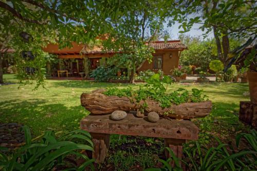 Bed & Breakfast Casa Navacoyan