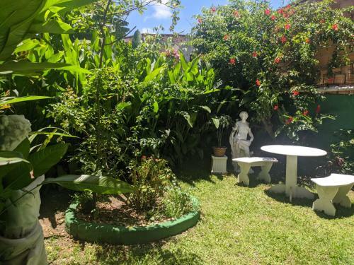 Hostal Pousada Lanai